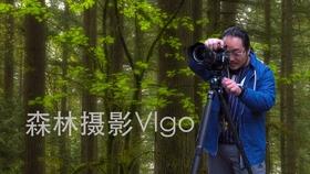 全战：幕府将军2